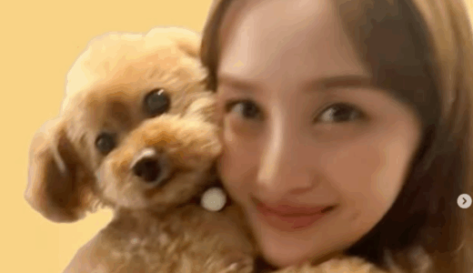 百田夏菜子年収が億超え説の真相と結婚後の衝撃収入事情実態